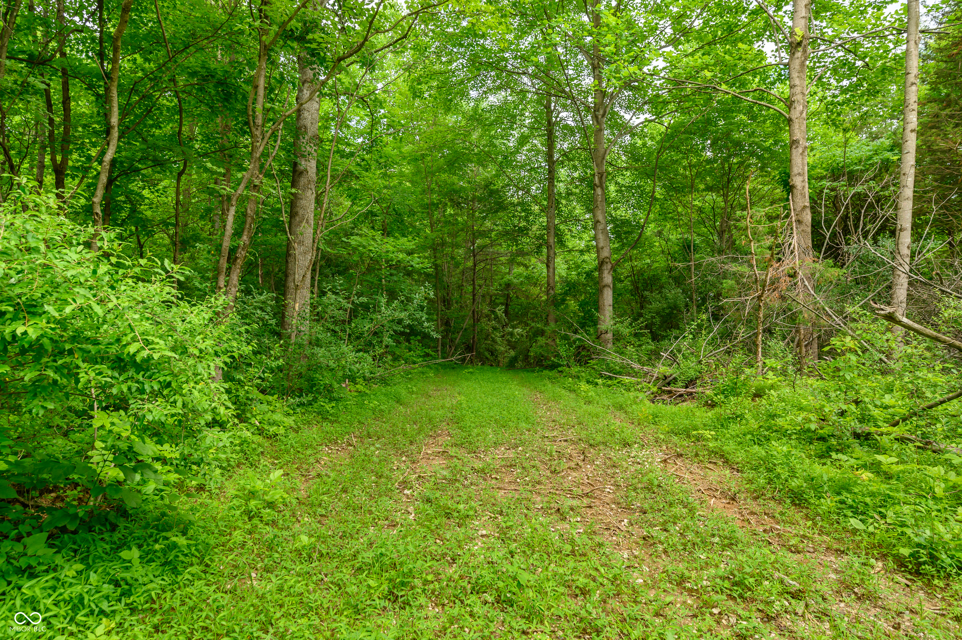 9061 Old Haggard Road Morgantown, IN 46160 - Photo 7 of 25 Gallery Image 7