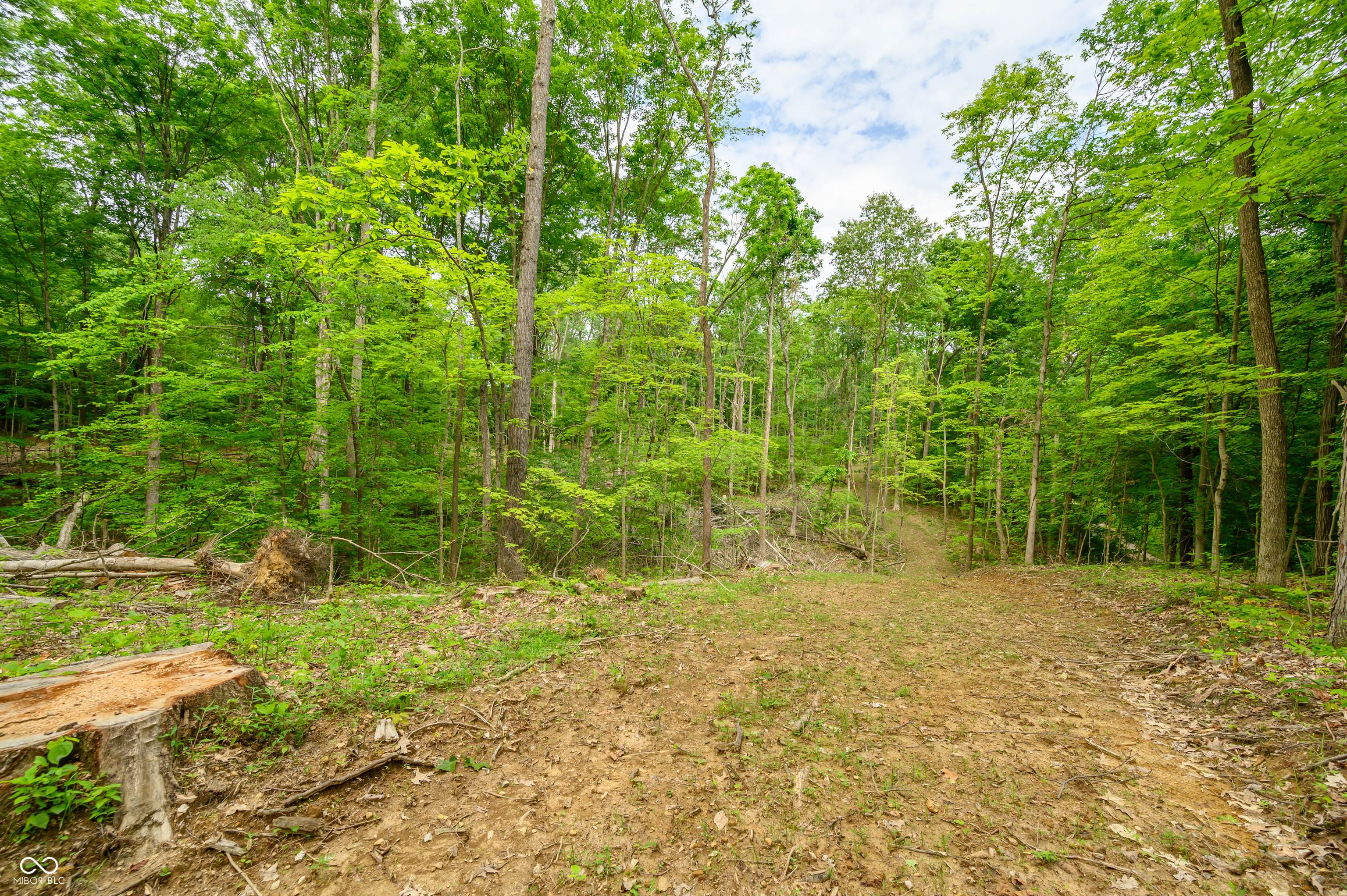 9061 Old Haggard Road Morgantown, IN 46160 - Photo 10 of 25 Gallery Image 10