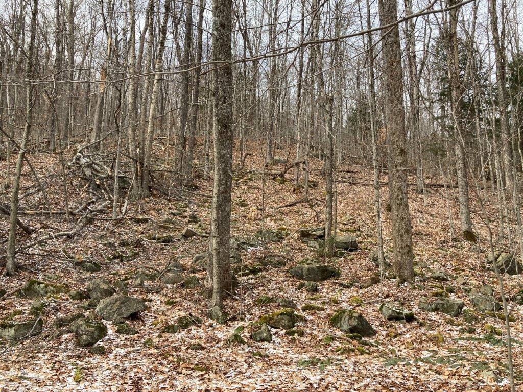 Kilton Pond Road Grafton, NH 03240 - Photo 3 of 23 Gallery Image 3