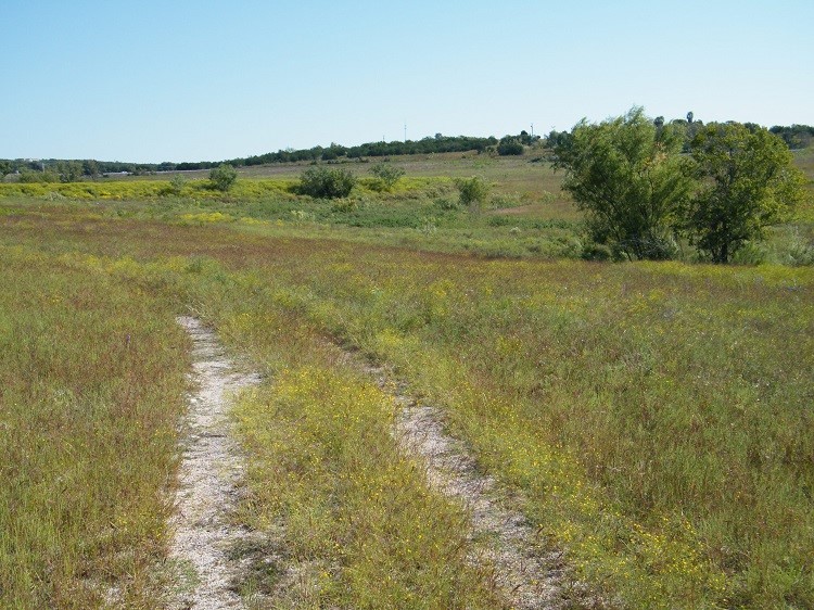 0 Westfall Street Burnet, TX 78611 - Photo 5 of 6 a view of an ocean from a yard