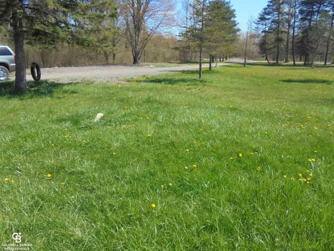 11250 Rose Road Emmett, MI 48022 - Photo 26 of 37 Front Yard