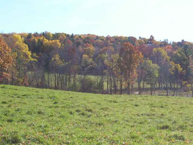 Sever Road Latham, NY 12110 - Photo 4 of 6 Photo 4