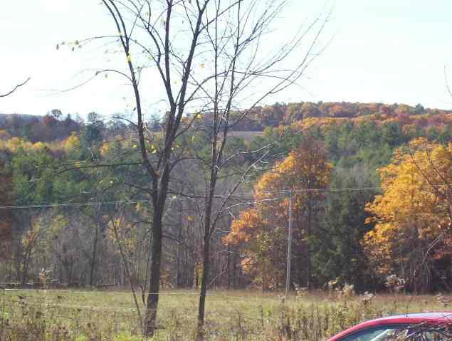 Sever Road Latham, NY 12110 - Photo 5 of 6 Photo 5