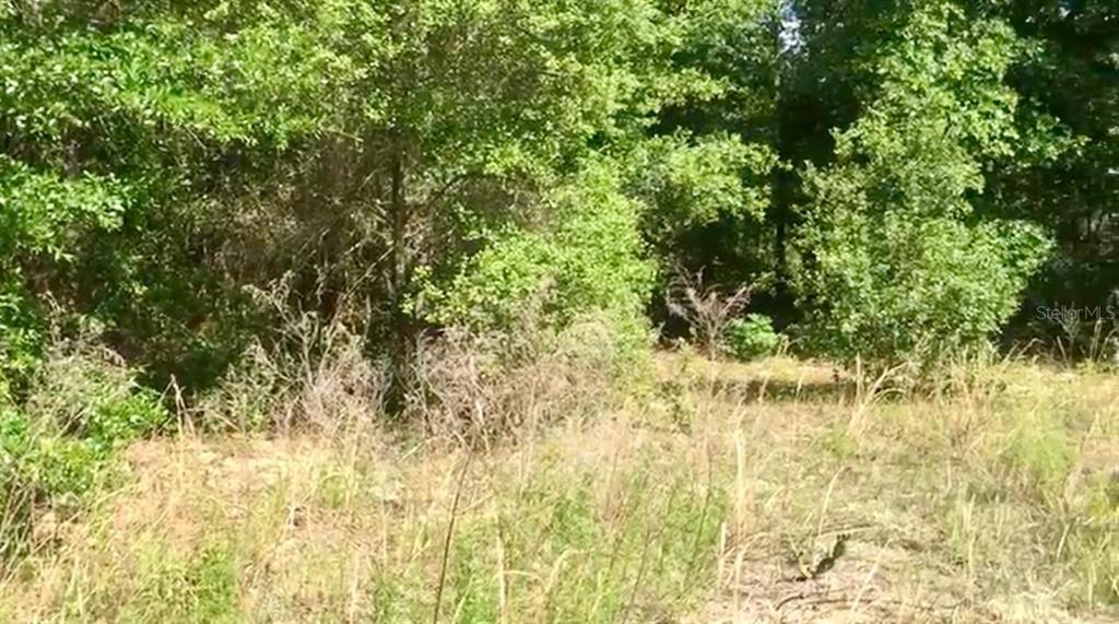 20 Southwest Azalea Court Dunnellon, FL 34431 - Photo 3 of 5