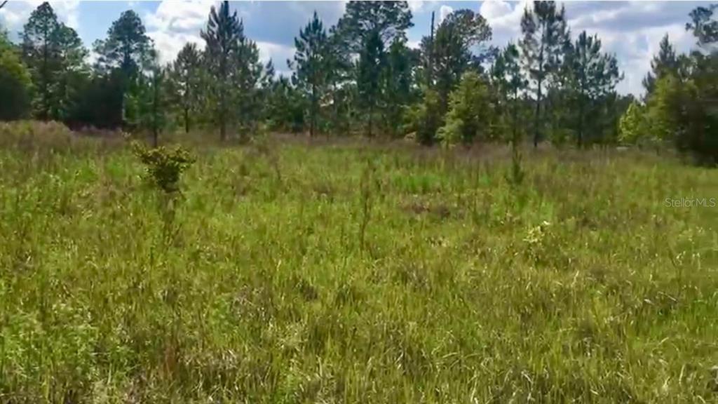 20 Southwest Azalea Court Dunnellon, FL 34431 - Photo 4 of 5