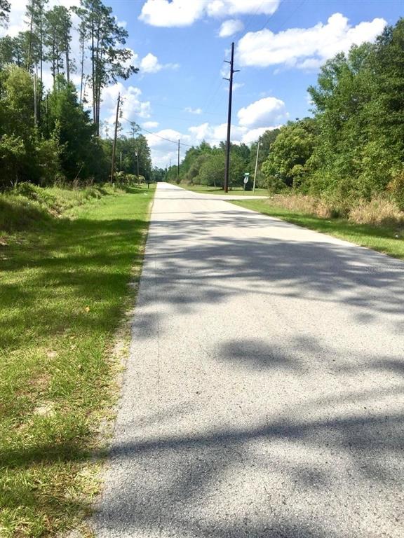 20 Southwest Azalea Court Dunnellon, FL 34431 - Photo 5 of 5 a view of a yard with a house