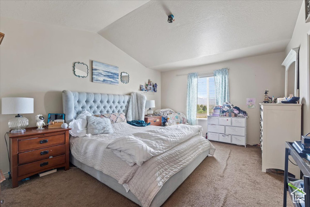 1318 North Horizon View Loop Payson, UT 84651 - Photo 16 of 24