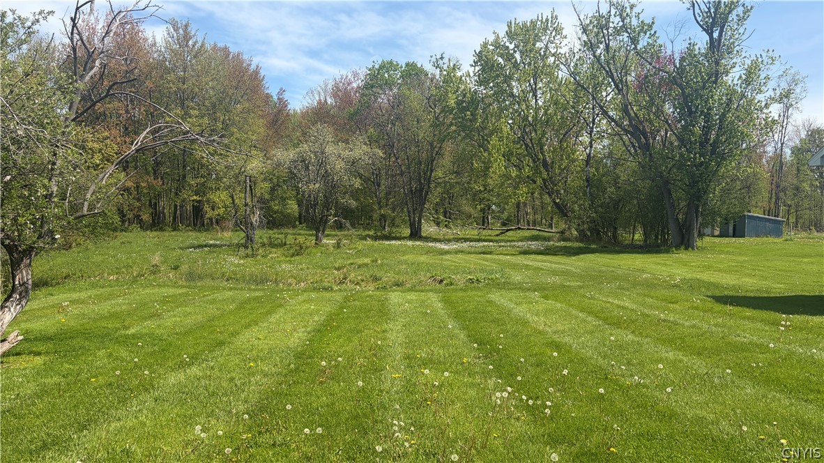 6995 Coleman Mills Road Rome, NY 13440 - Photo 8 of 35