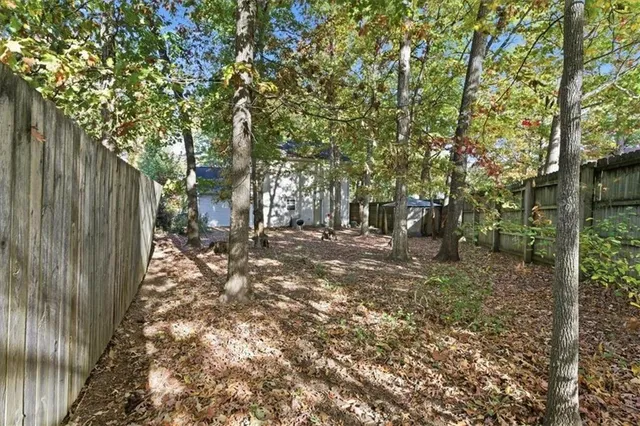 a view of backyard with tree