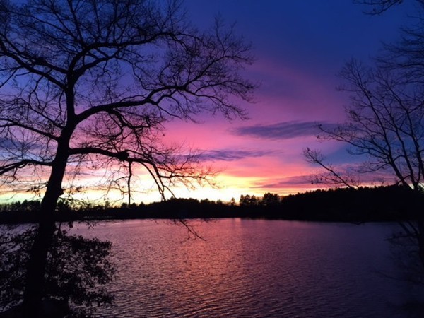 8 Reid Smith Cove Road Webster, MA 01570 - Photo 3 of 30 a view of lake from outdoor space