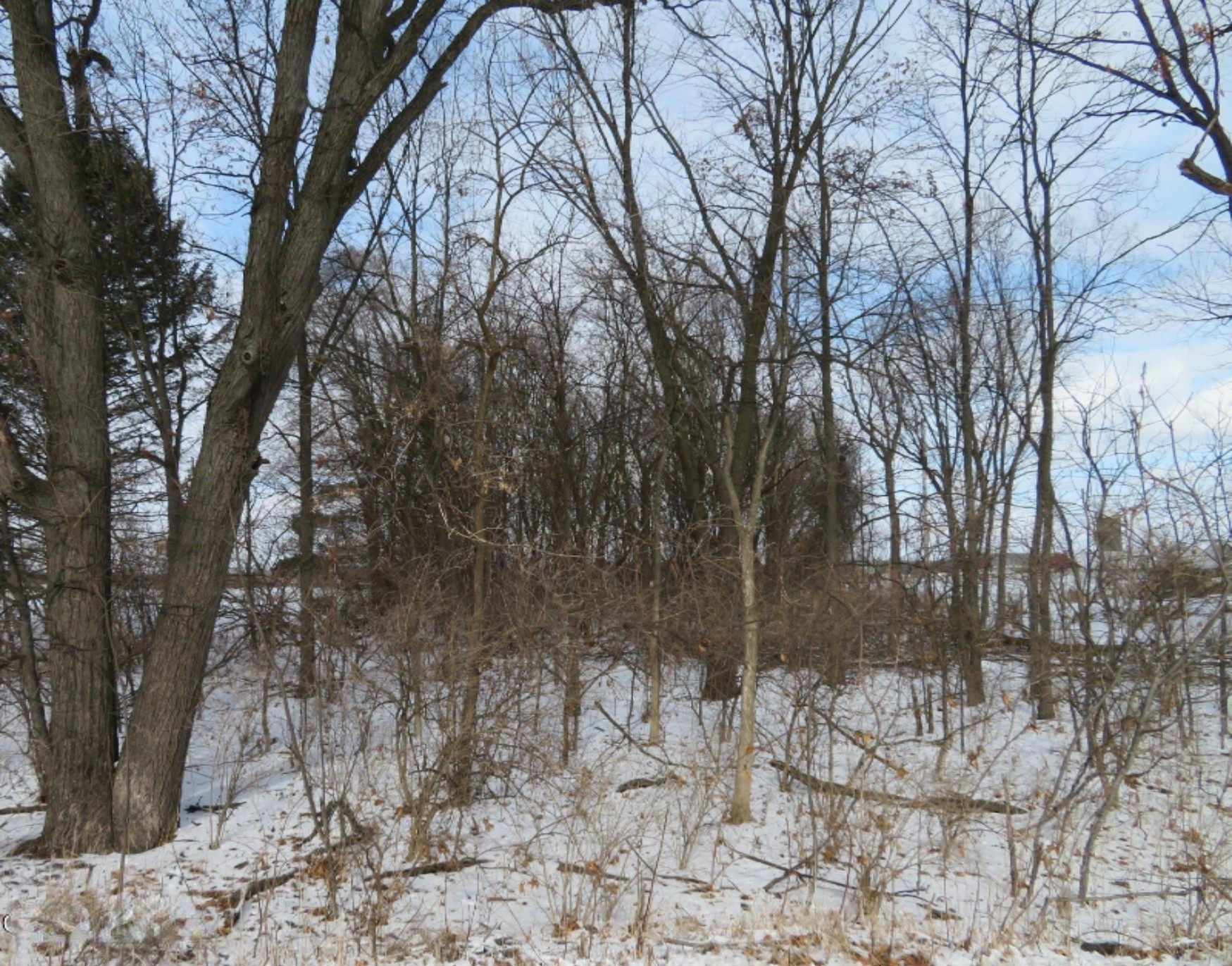 Airline Road Sturgis, MI 49091 - Photo 1 of 4 Vacant Lot