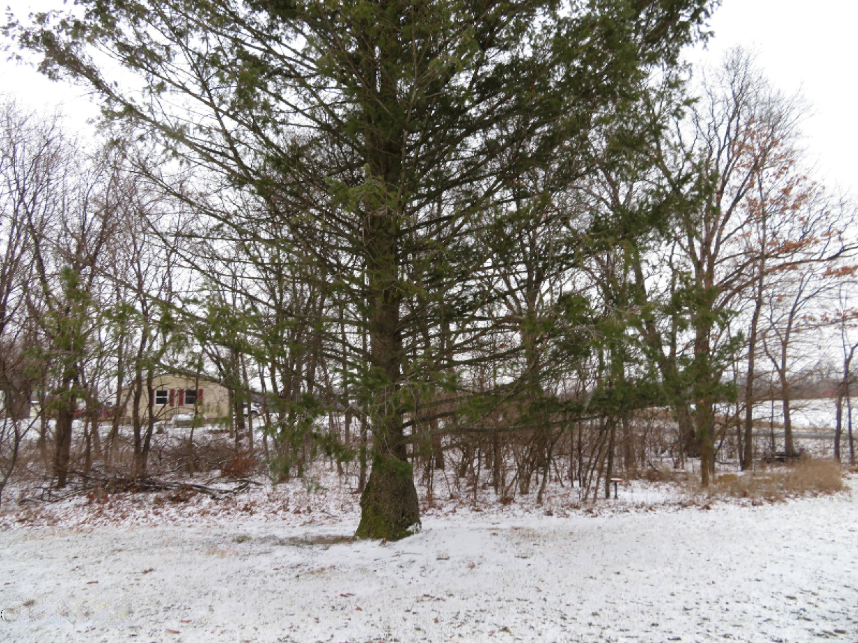 Airline Road Sturgis, MI 49091 - Photo 3 of 4 Vacant Lot
