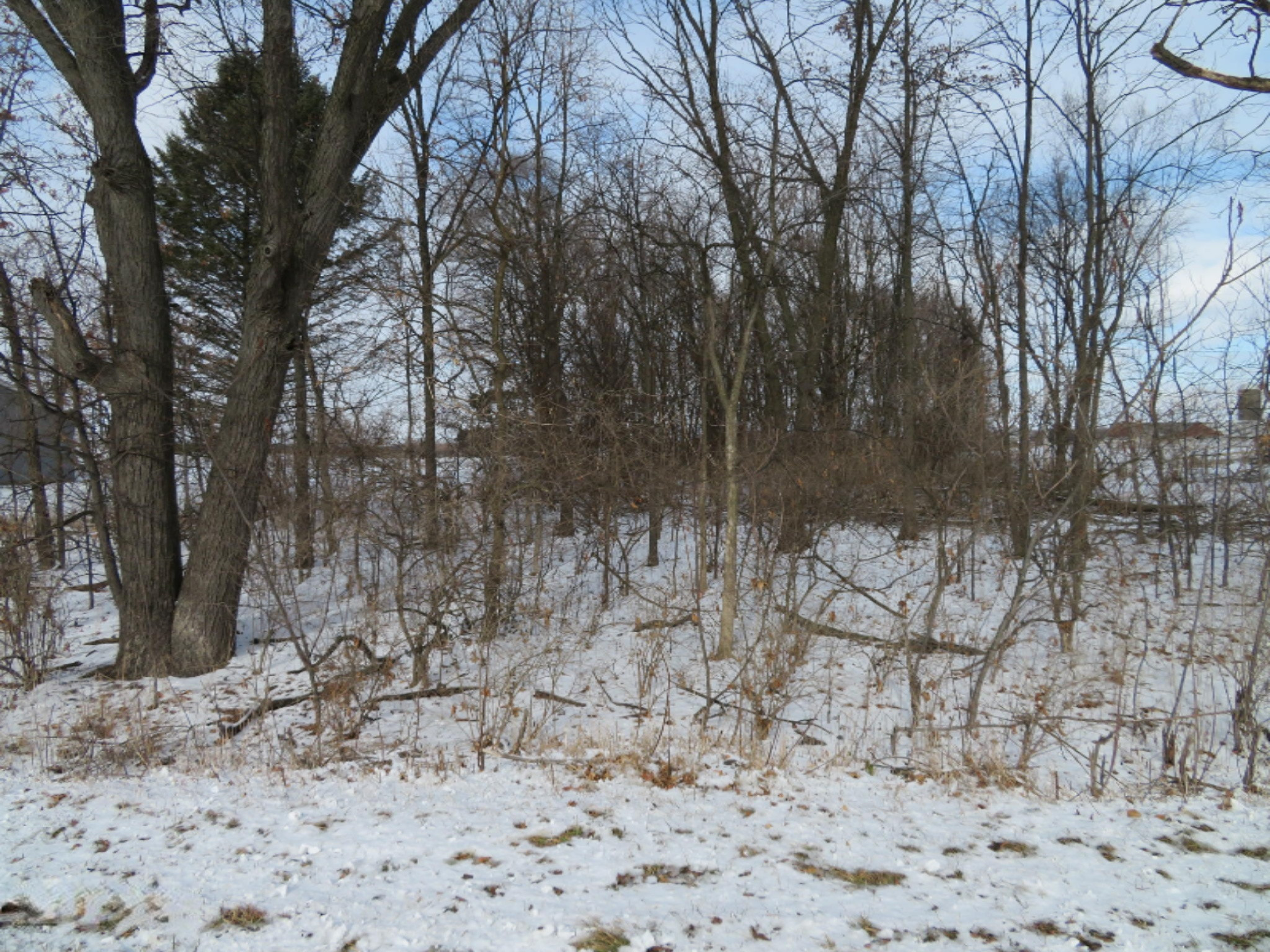 Airline Road Sturgis, MI 49091 - Photo 4 of 4 Vacant Lot