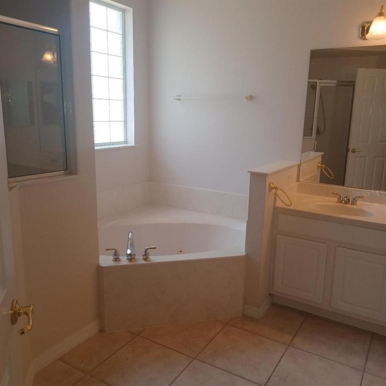 3807 Beacon Ridge Way Clermont, FL 34711 - Photo 12 of 15 a bathroom with a bathtub sink and vanity