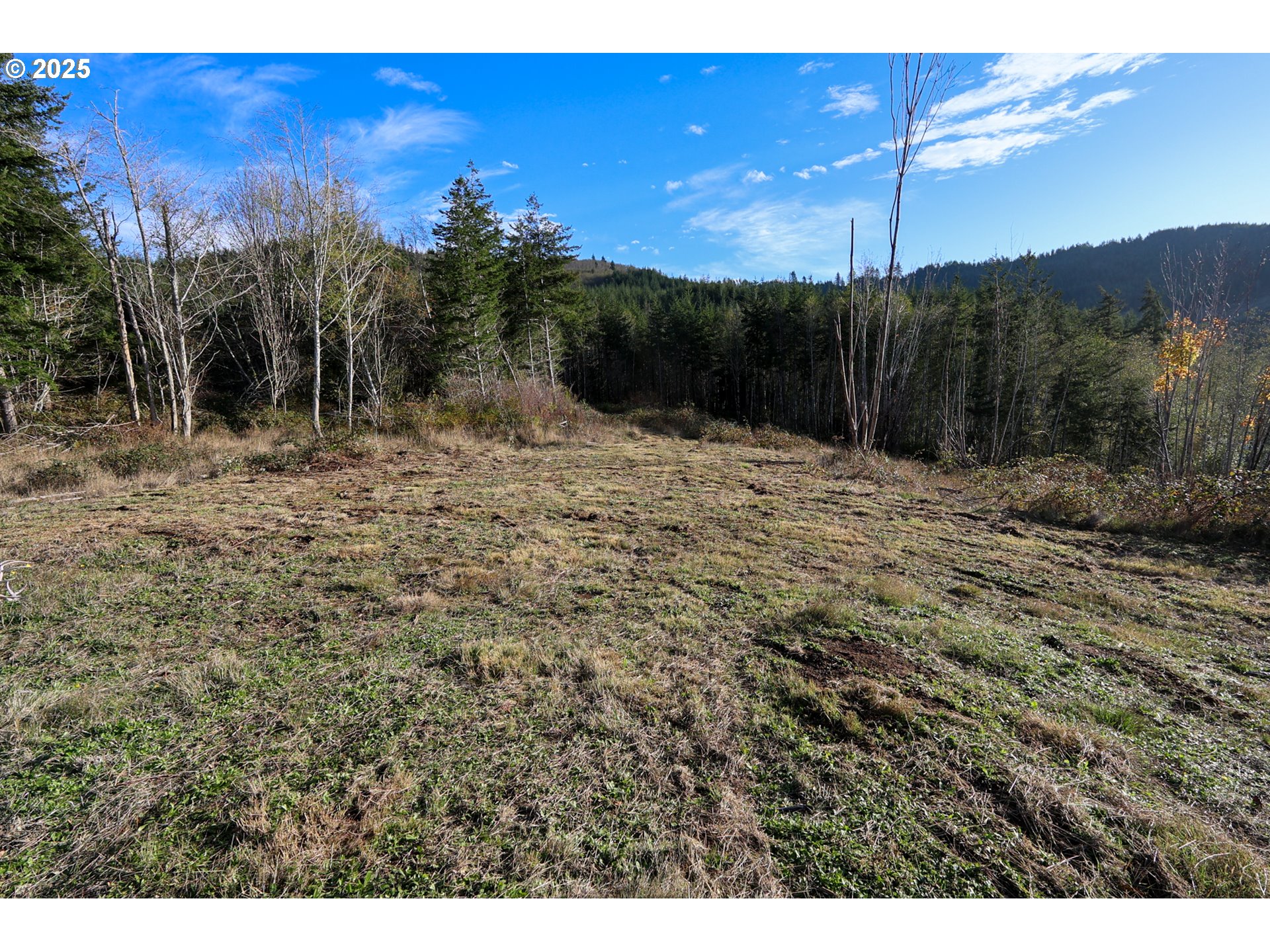 17 Bartleson Road, Unit 1419 Coos Bay, OR 97420 - Photo 11 of 15 a view of a yard