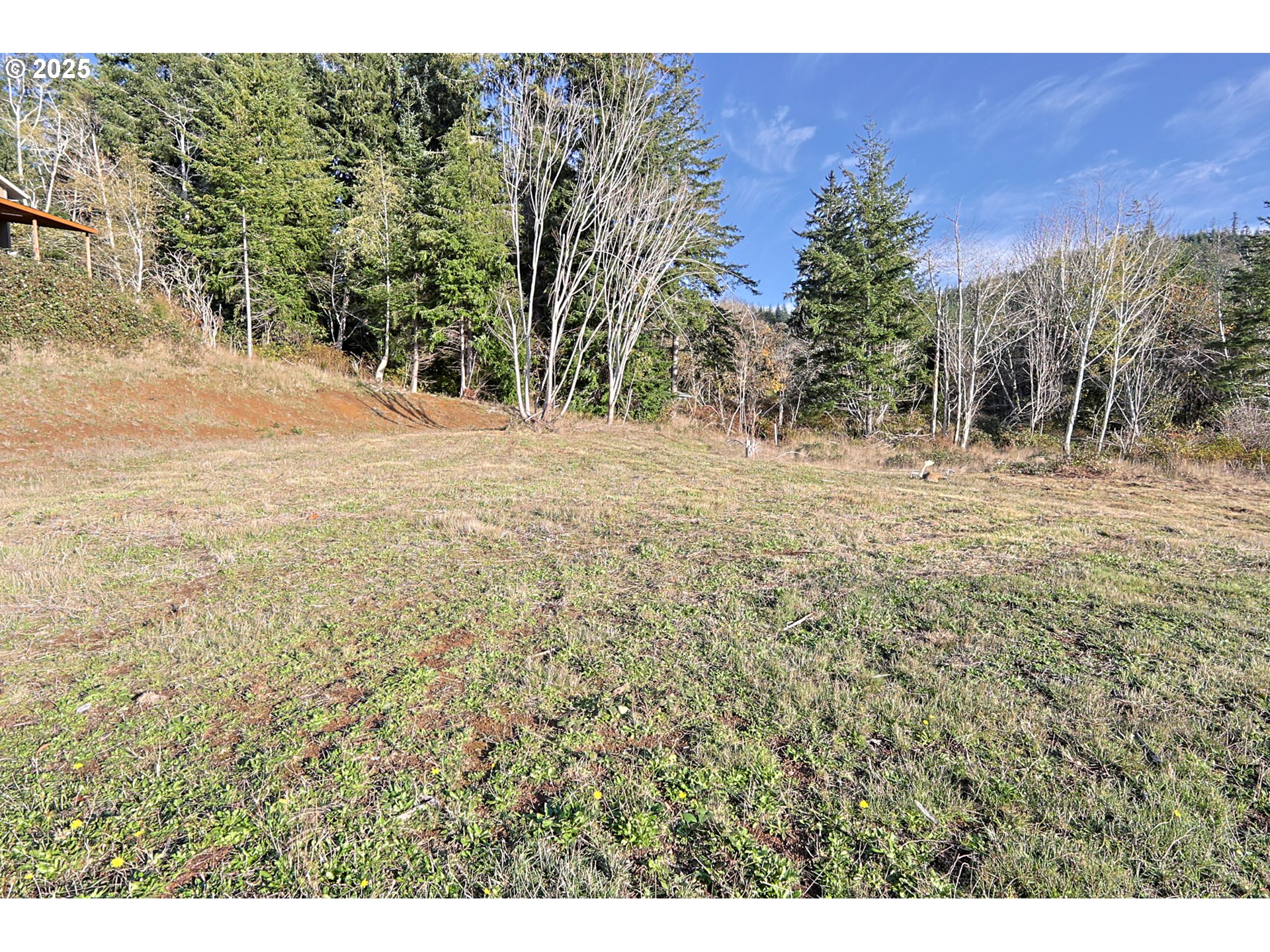 17 Bartleson Road, Unit 1419 Coos Bay, OR 97420 - Photo 12 of 15 a view of a yard with a tree