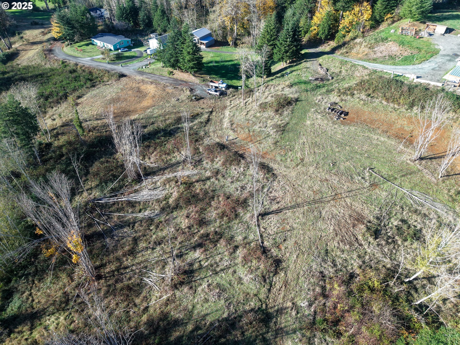 17 Bartleson Road, Unit 1419 Coos Bay, OR 97420 - Photo 3 of 15 a view of a yard with plants and large trees
