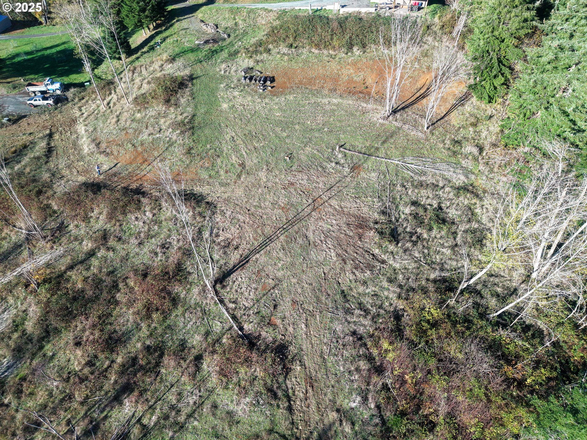 17 Bartleson Road, Unit 1419 Coos Bay, OR 97420 - Photo 4 of 15 a view of a yard with a tree