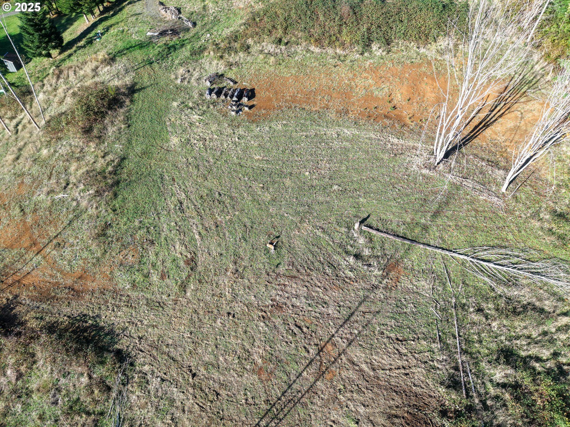 17 Bartleson Road, Unit 1419 Coos Bay, OR 97420 - Photo 5 of 15 a view of a yard