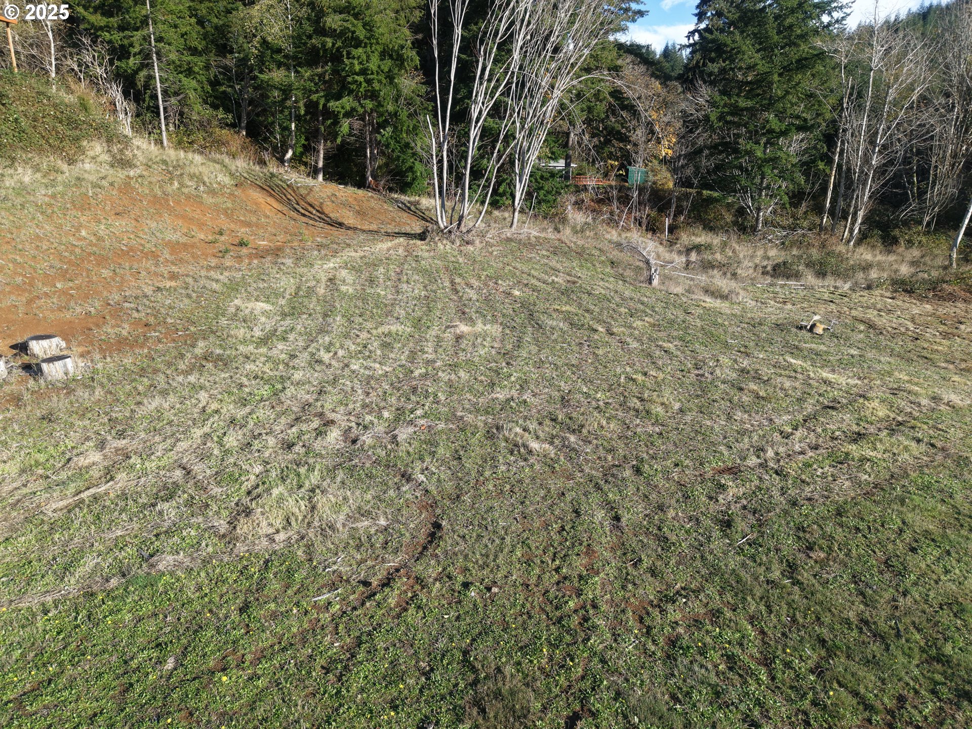 17 Bartleson Road, Unit 1419 Coos Bay, OR 97420 - Photo 9 of 15 a view of backyard with green space