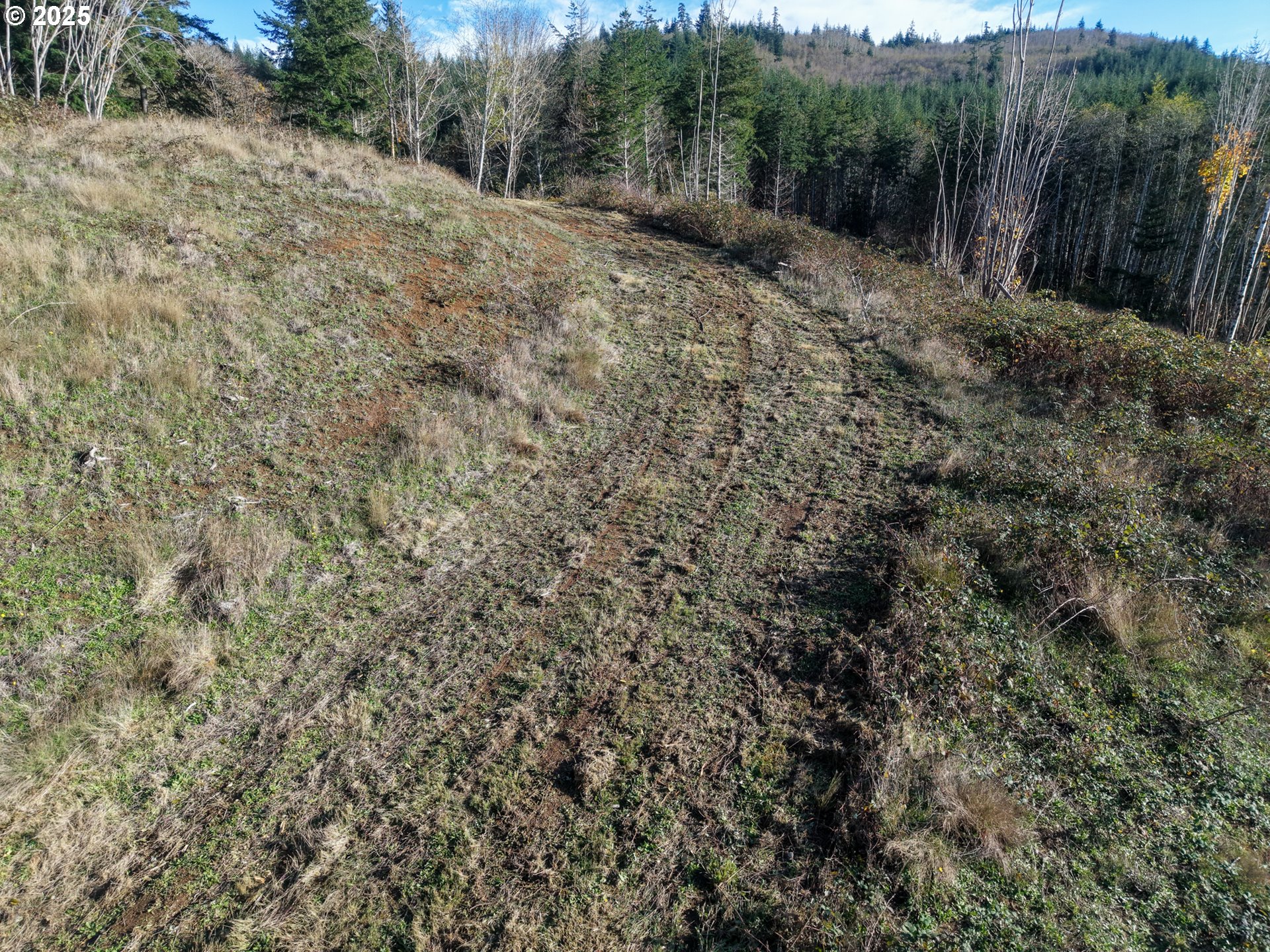 17 Bartleson Road, Unit 1419 Coos Bay, OR 97420 - Photo 10 of 15 a view of a forest with trees in the background
