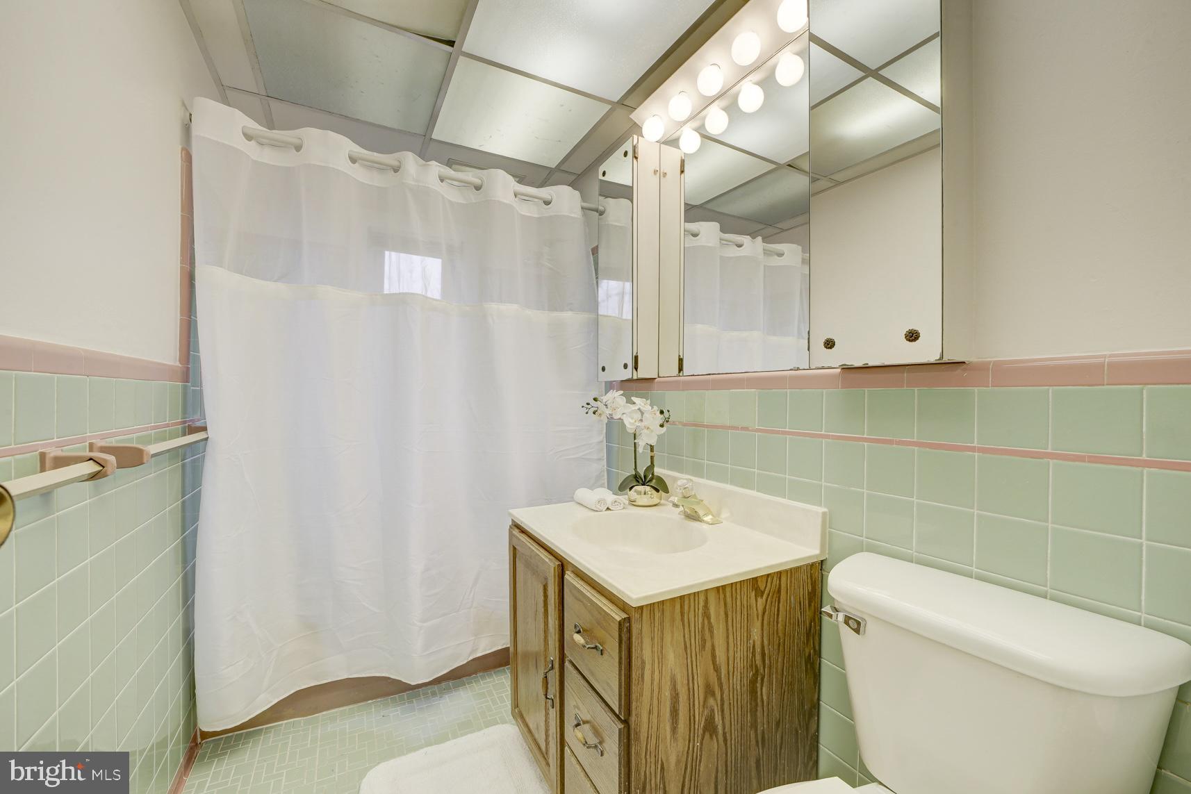 12216 Charles Road Silver Spring, MD 20906 - Photo 14 of 22 a bathroom with a sink a toilet and shower