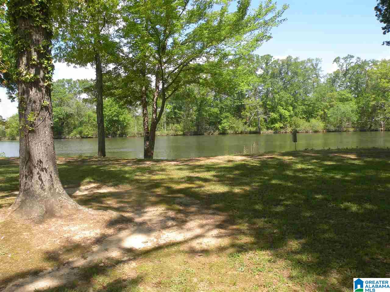 141 River Run Road Childersburg, AL 35044 - Photo 28 of 39