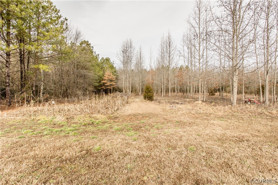 14233 Harmony Road Jarratt, VA 23867 - Photo 30 of 40 Gallery Image 30