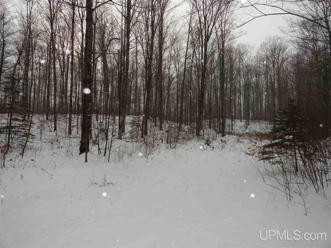 160-acres Off Co Rd 557 Arnold, MI 49819 - Photo 3 of 22