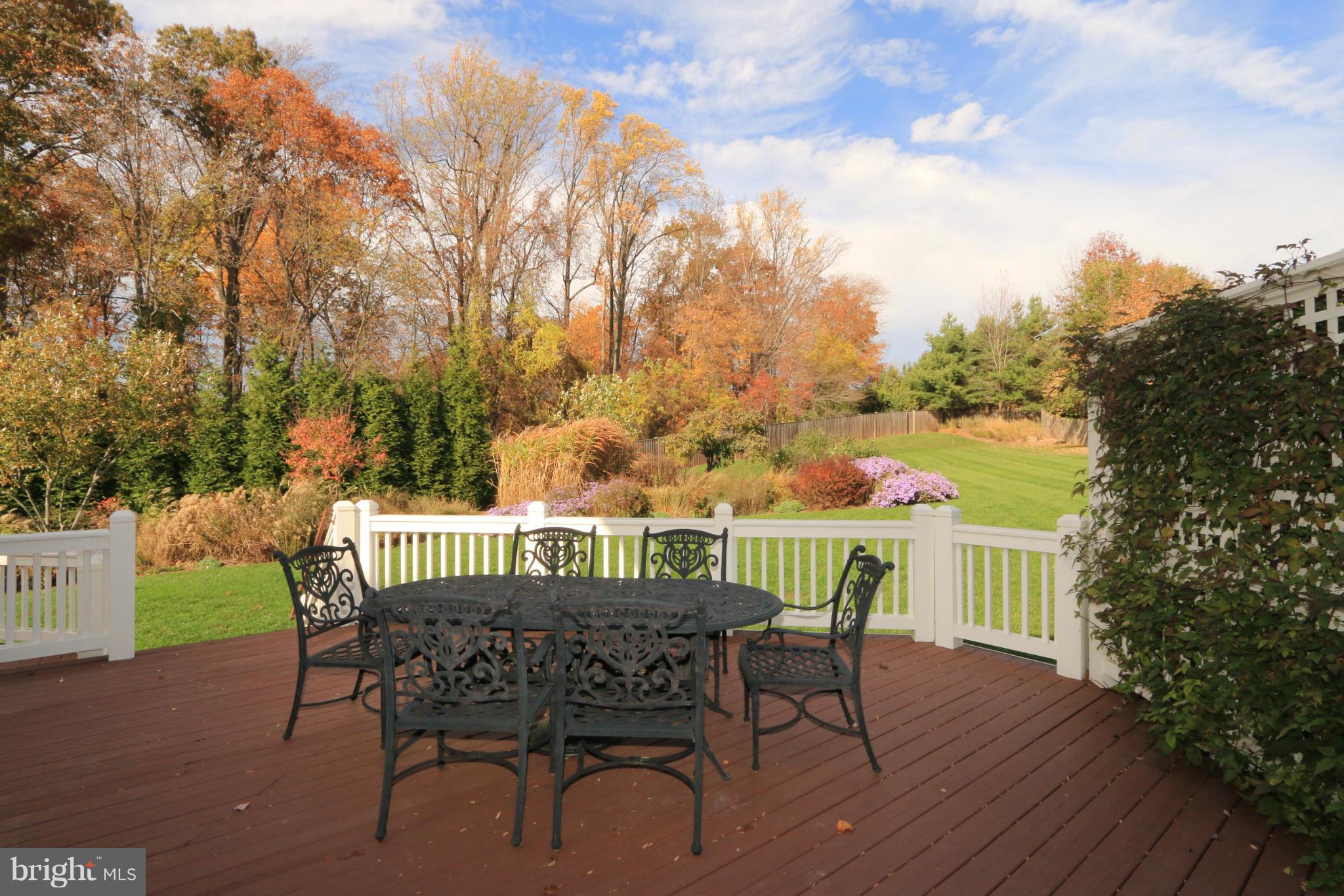 11292 Stones Throw Drive Reston, VA 20194 - Photo 11 of 30 From Spacious Deck