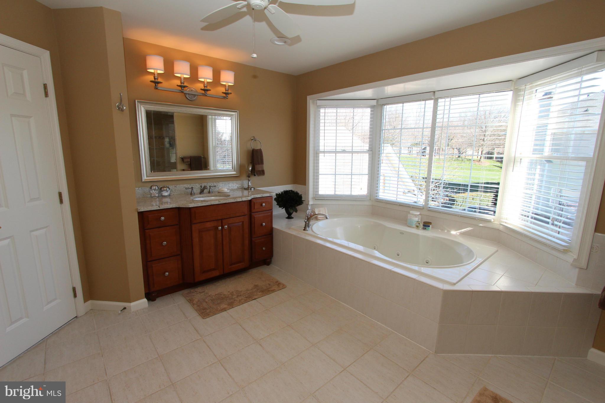 11292 Stones Throw Drive Reston, VA 20194 - Photo 16 of 30 Bath (Master)
