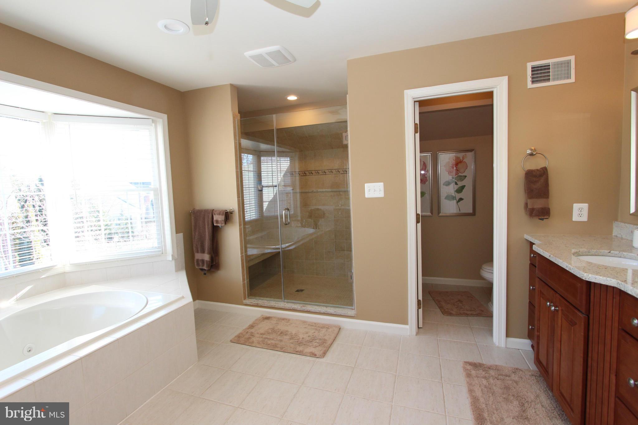 11292 Stones Throw Drive Reston, VA 20194 - Photo 17 of 30 Bath (Master)
