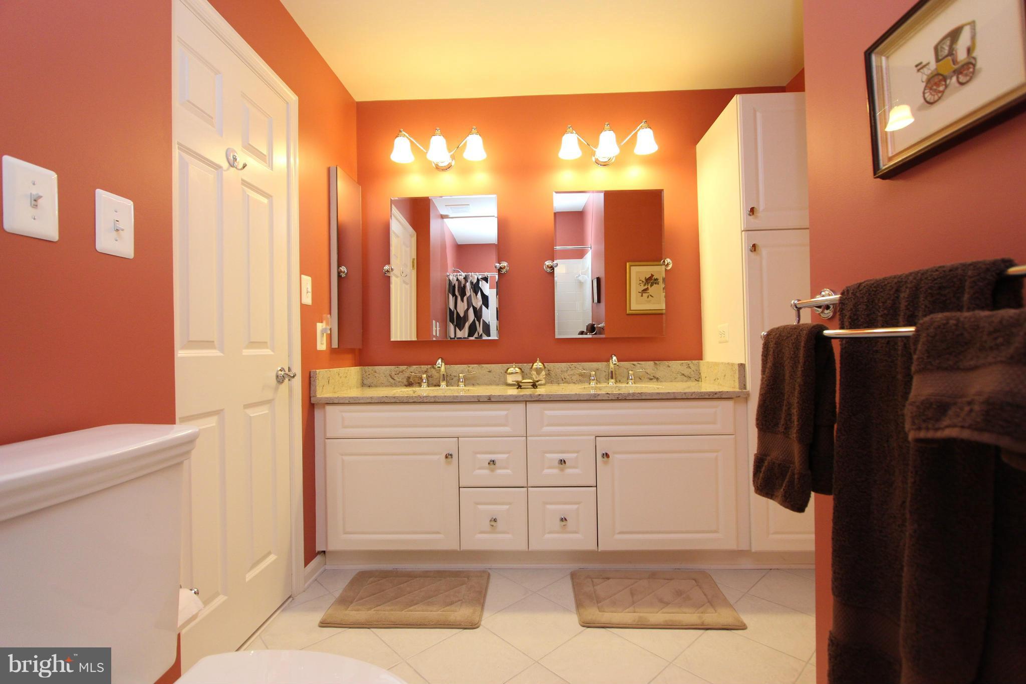 11292 Stones Throw Drive Reston, VA 20194 - Photo 20 of 30 Jack and Jill Bathroom