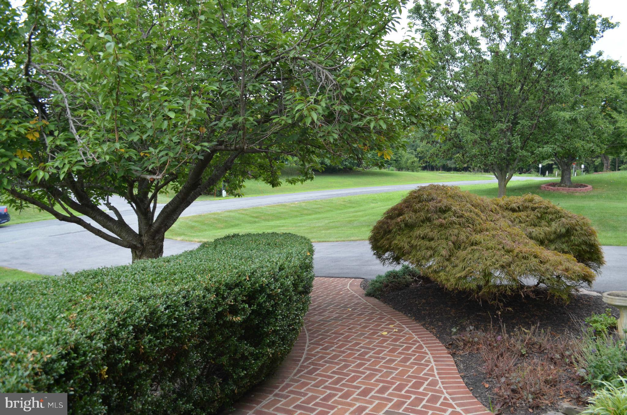 2105 Steuben Way Silver Spring, MD 20905 - Photo 2 of 10 a view of a garden with an outdoor space