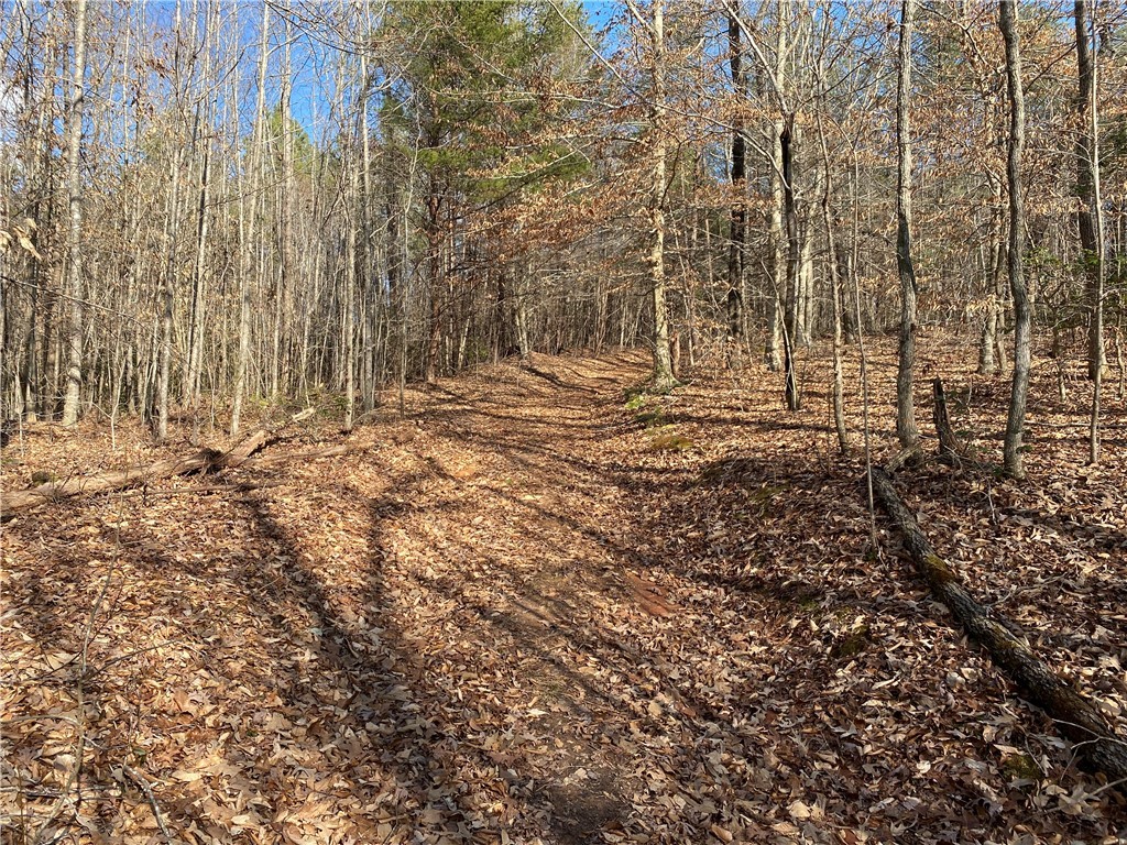 0 Snead Road Walhalla, SC 29691 - Photo 10 of 12 Gallery Image 10