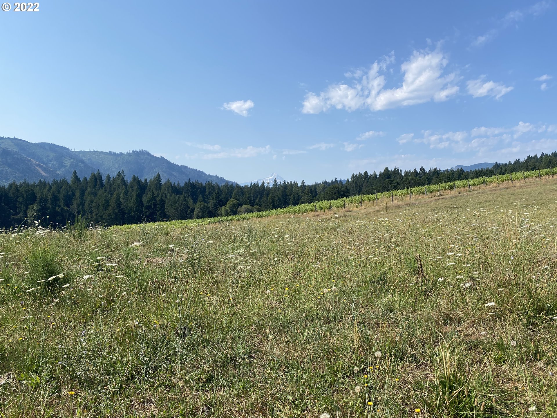 66 Lower Spring Creek Road White Salmon, WA 98672 - Photo 32 of 32 Gallery Image 32