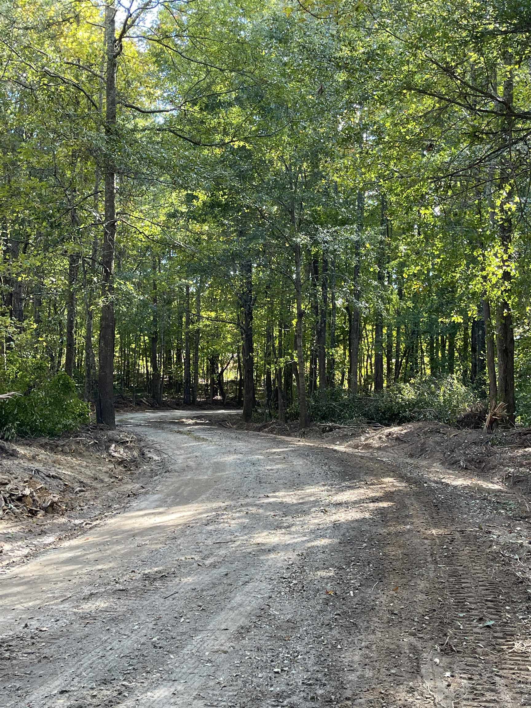 Lot 4 Dowler Drive Inman, SC 29349 - Photo 1 of 11