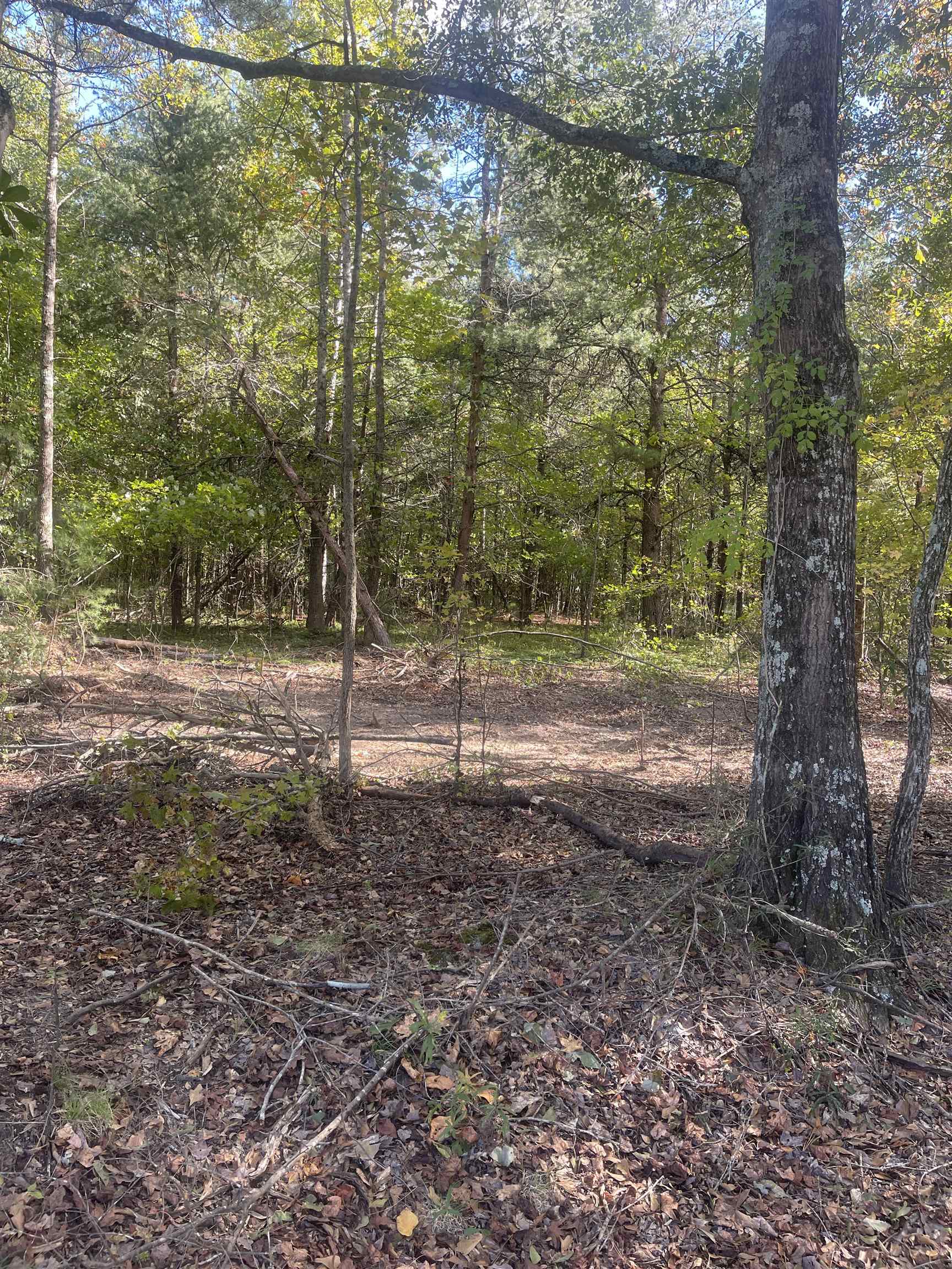 Lot 4 Dowler Drive Inman, SC 29349 - Photo 5 of 11