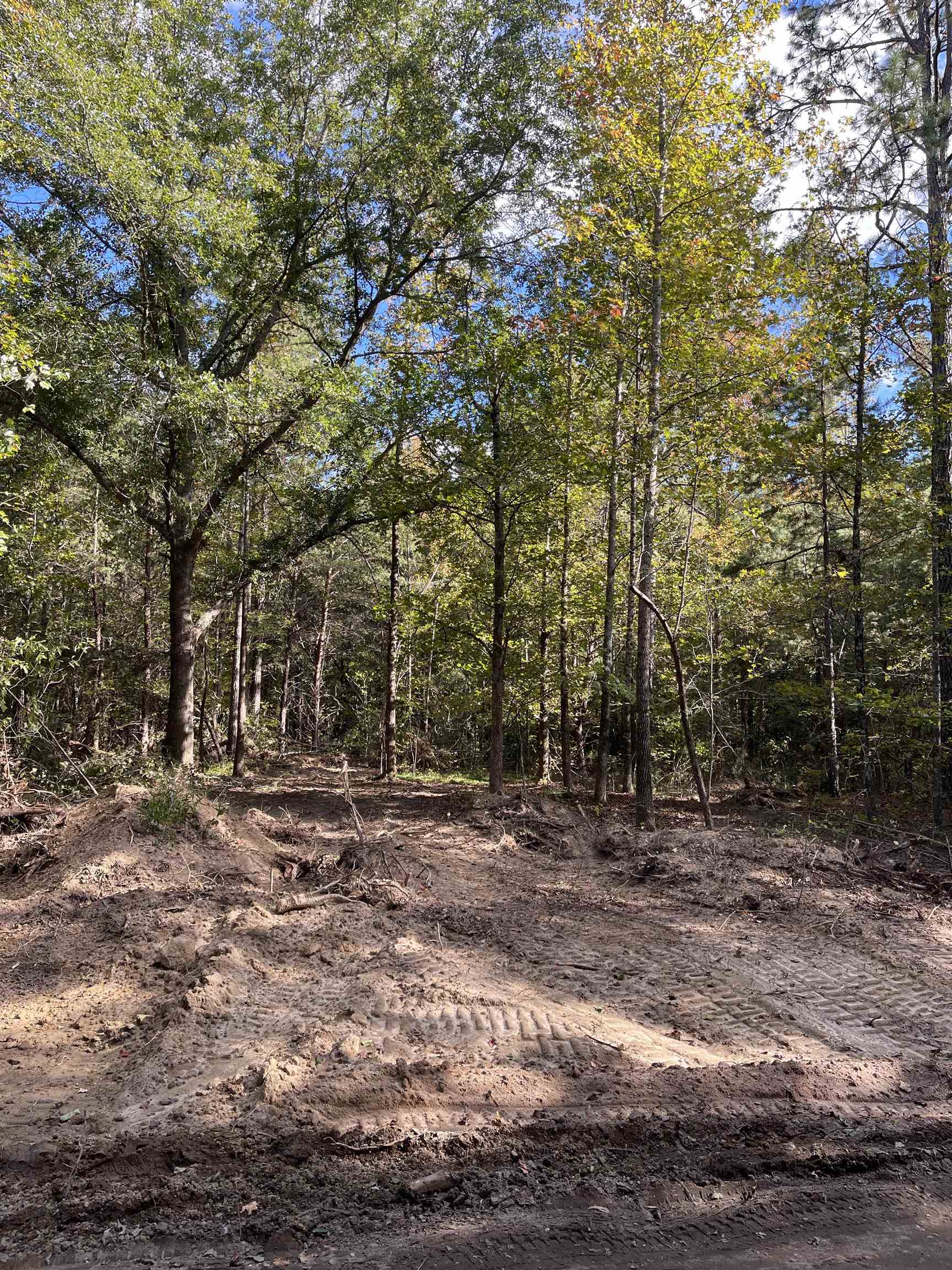 Lot 4 Dowler Drive Inman, SC 29349 - Photo 7 of 11