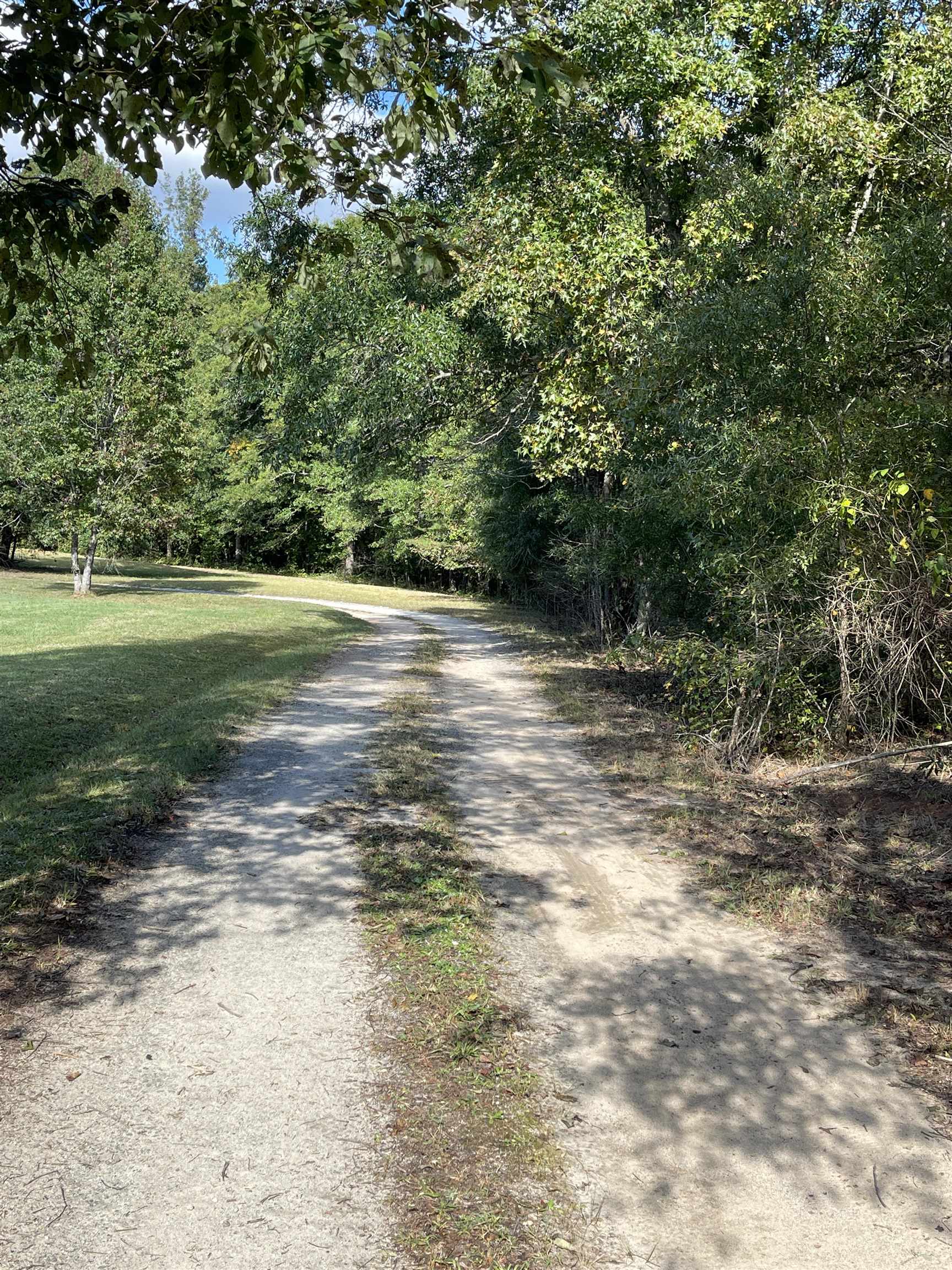 Lot 4 Dowler Drive Inman, SC 29349 - Photo 8 of 11