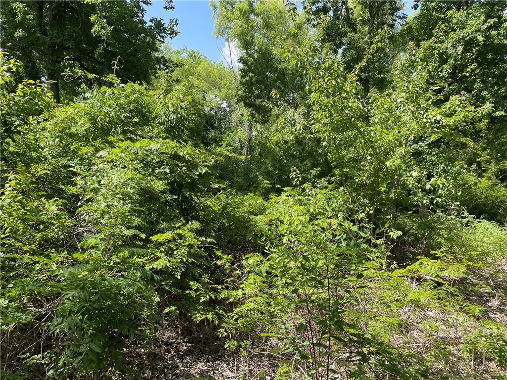 271 Ridgeline Road Leander, TX 78641 - Photo 15 of 20 a view of a lush green forest
