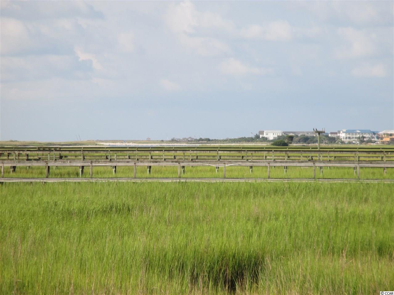 82 Inlet Point Drive, Unit 20B Pawleys Island, SC 29585 - Photo 35 of 37 Gallery Image 35