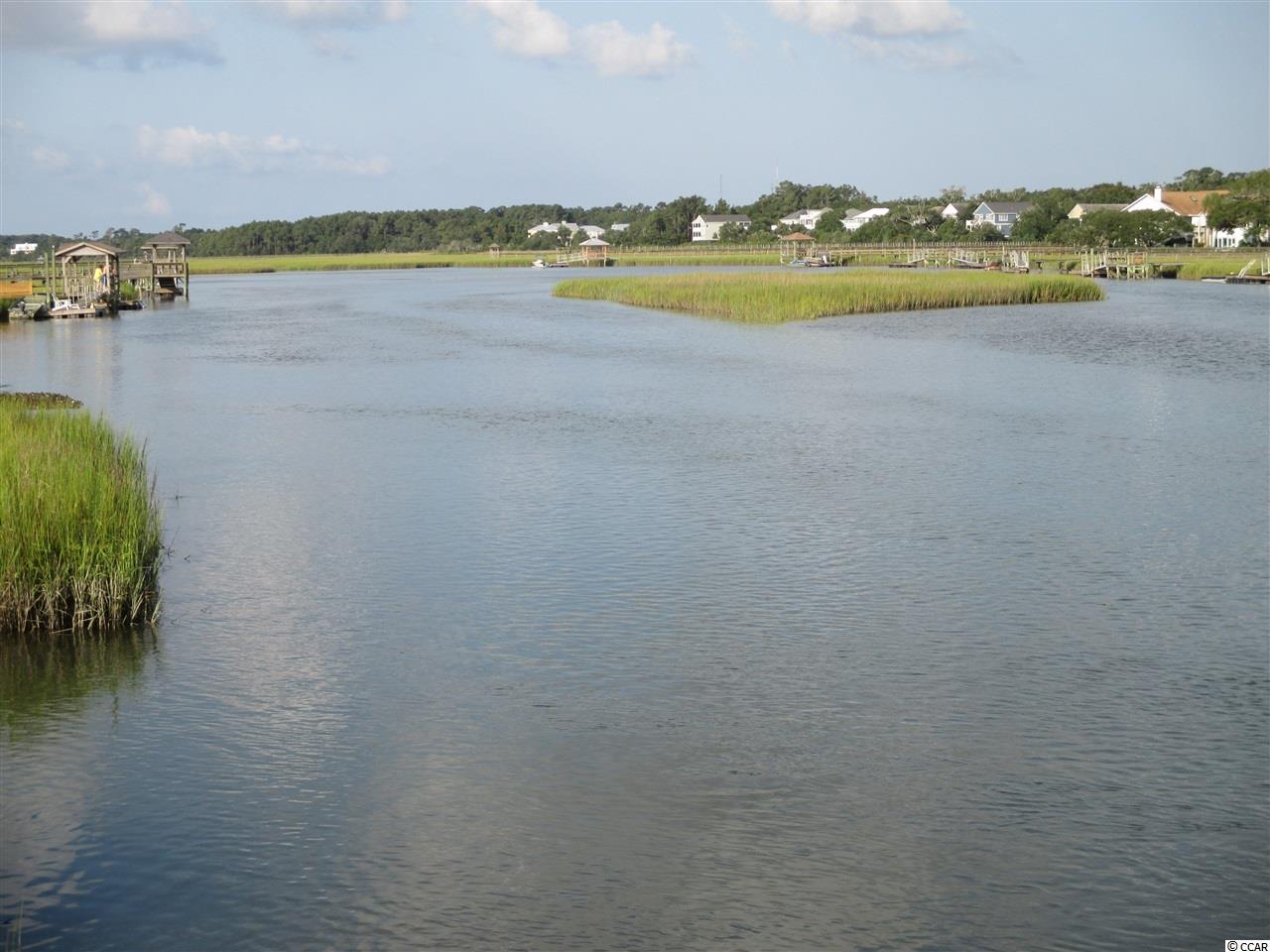 82 Inlet Point Drive, Unit 20B Pawleys Island, SC 29585 - Photo 36 of 37 Gallery Image 36