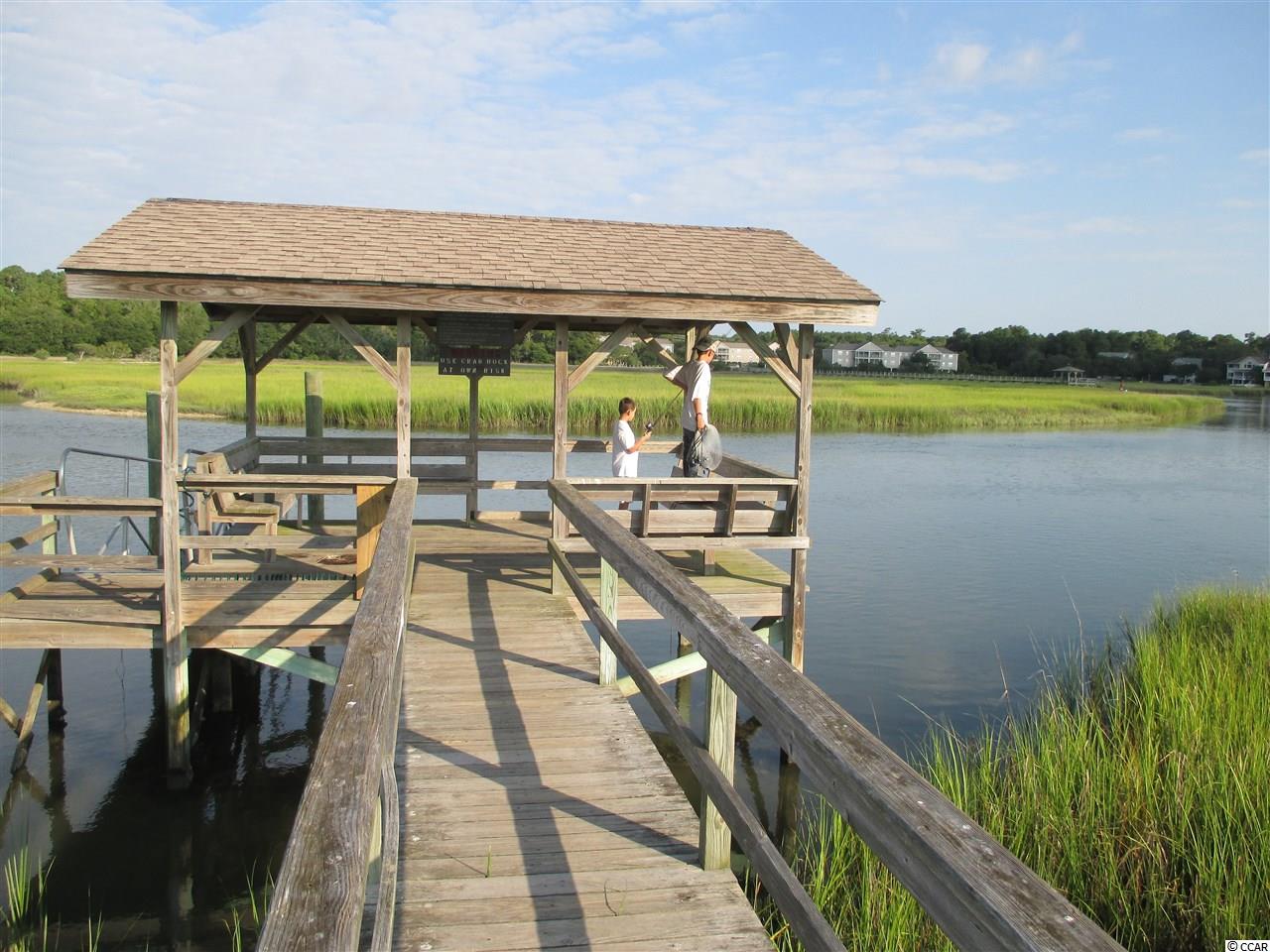 82 Inlet Point Drive, Unit 20B Pawleys Island, SC 29585 - Photo 37 of 37 Gallery Image 37