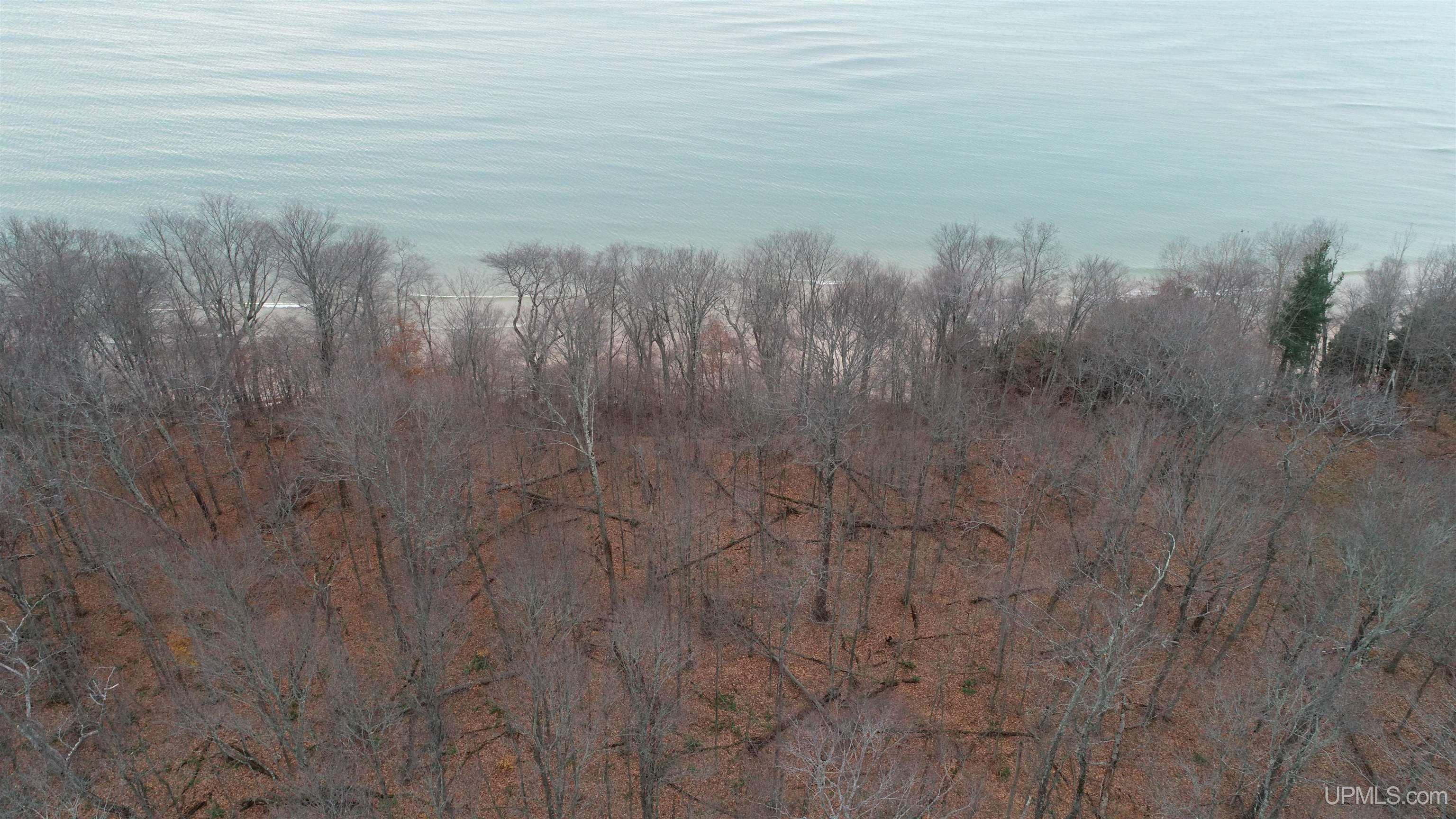 Tbd West Parcel B Little Harbor Road Manistique, MI 49854 - Photo 15 of 43 Gallery Image 15