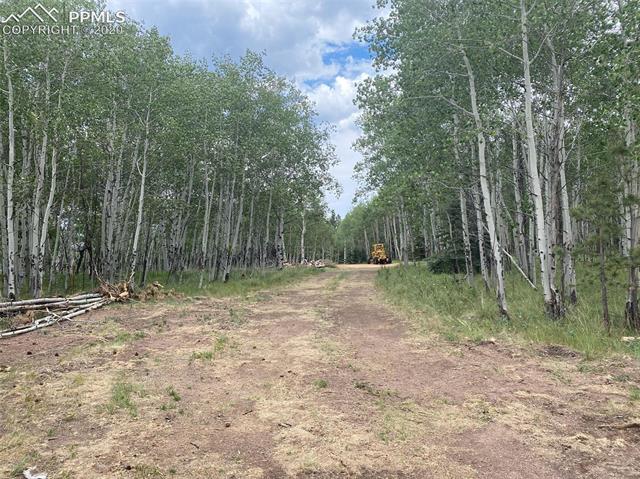 550 Aspen Village Road Divide, CO 80814 - Photo 10 of 10 Gallery Image 10