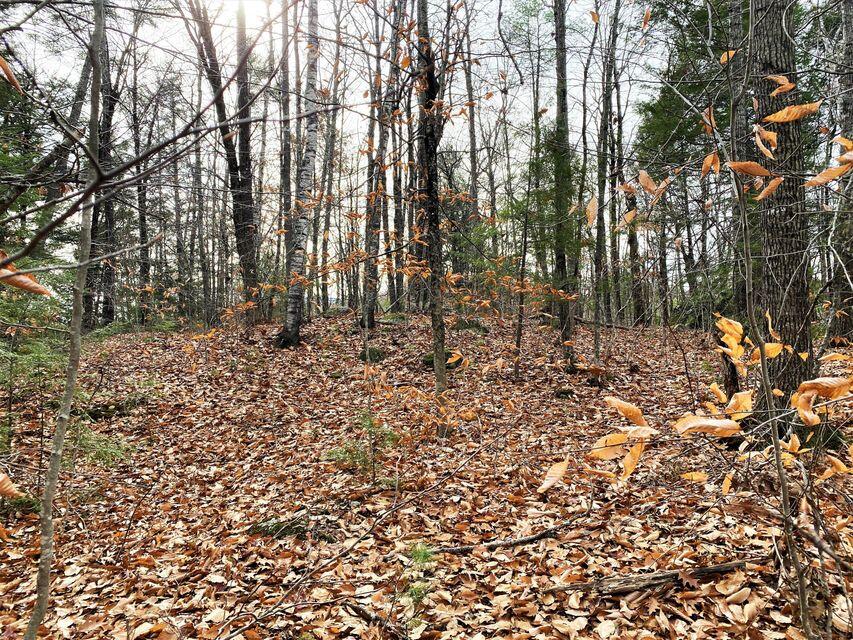 0 Libby Road, Unit LOT #9 West Newfield, ME 04095 - Photo 8 of 15 8