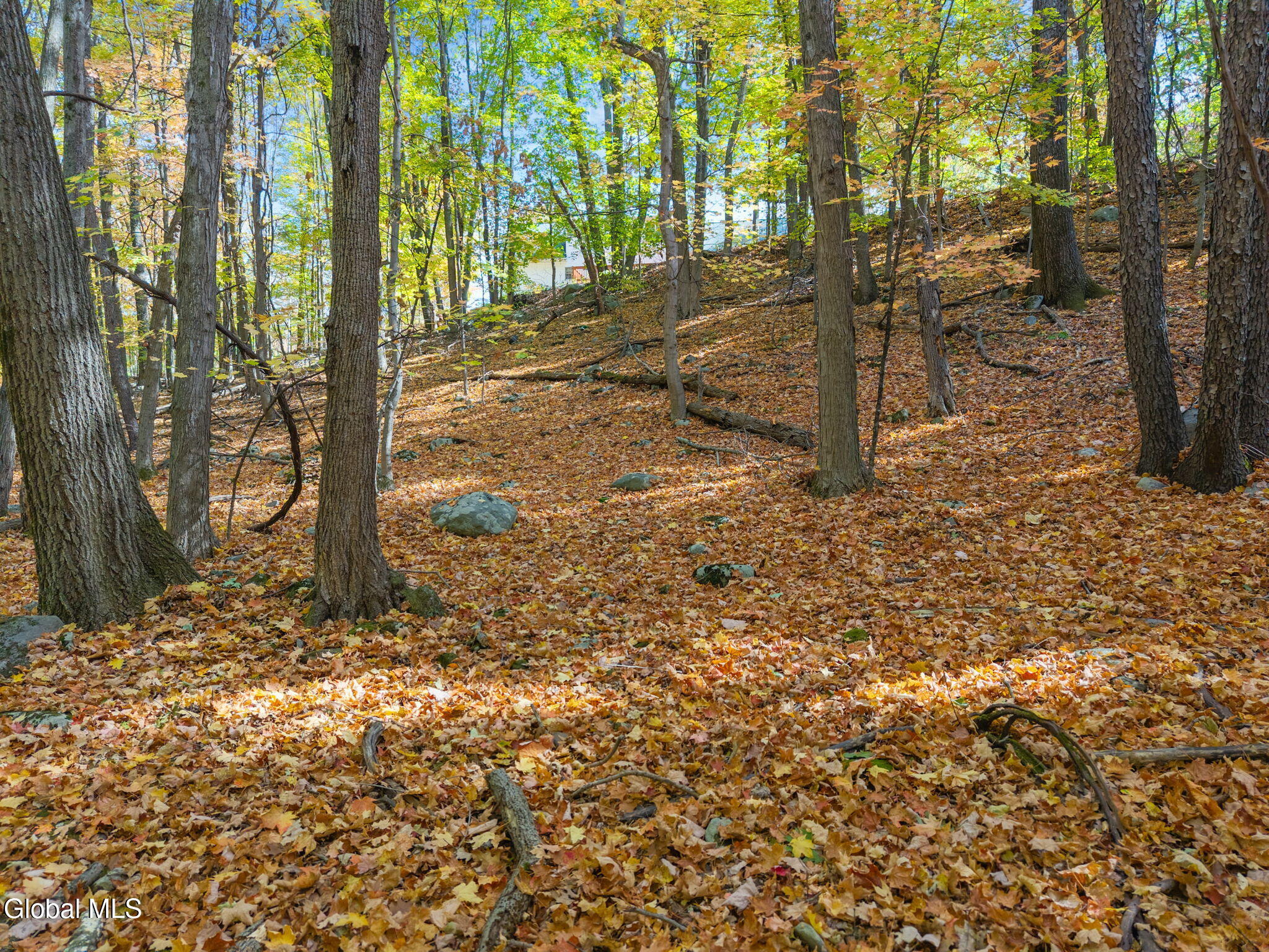 511 Snake Hill Road Poestenkill, NY 12140 - Photo 45 of 48 62-511SnakeHillRd_62