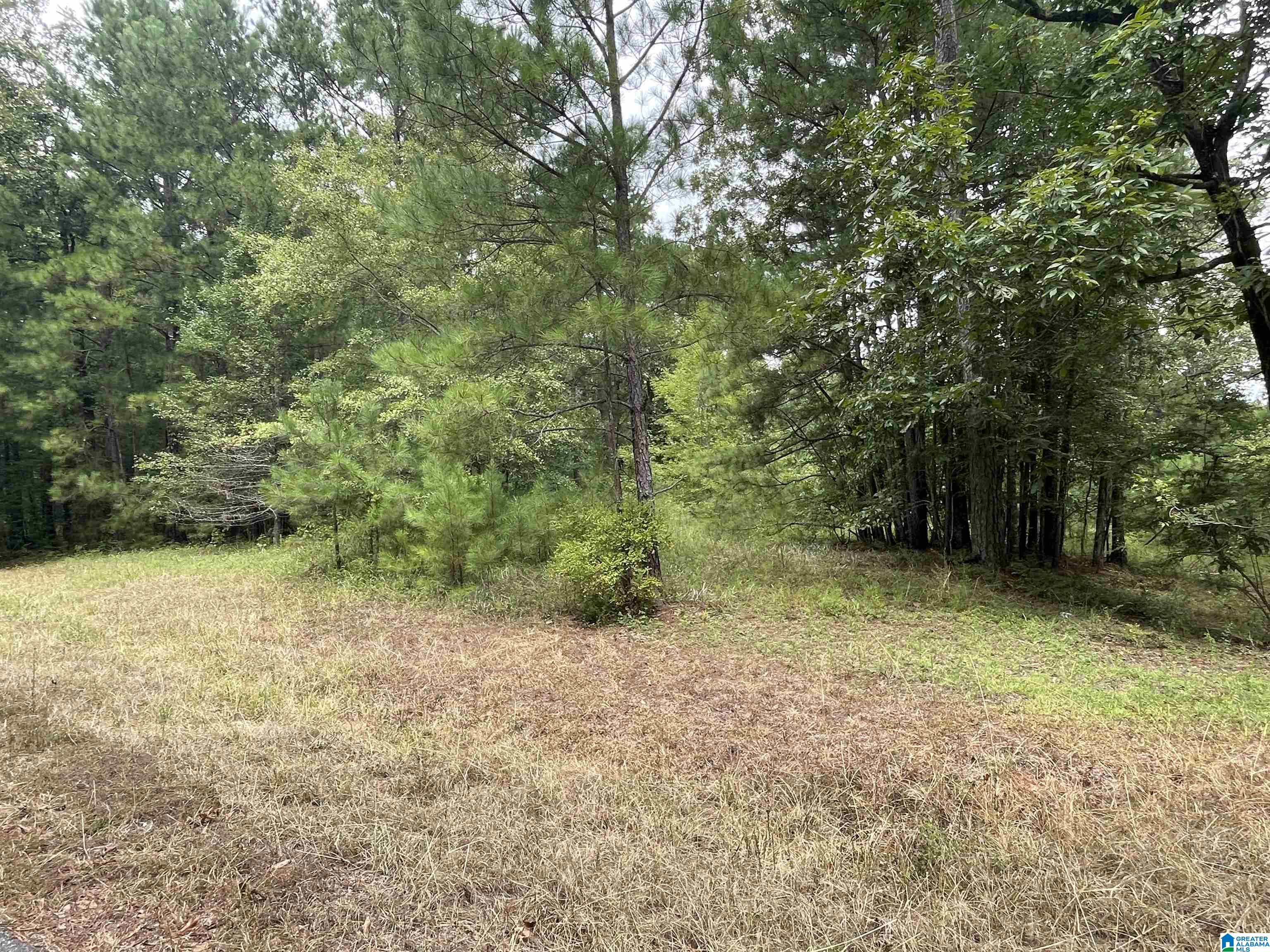 0 Paradise Point Drive Columbiana, AL 35051 - Photo 20 of 23