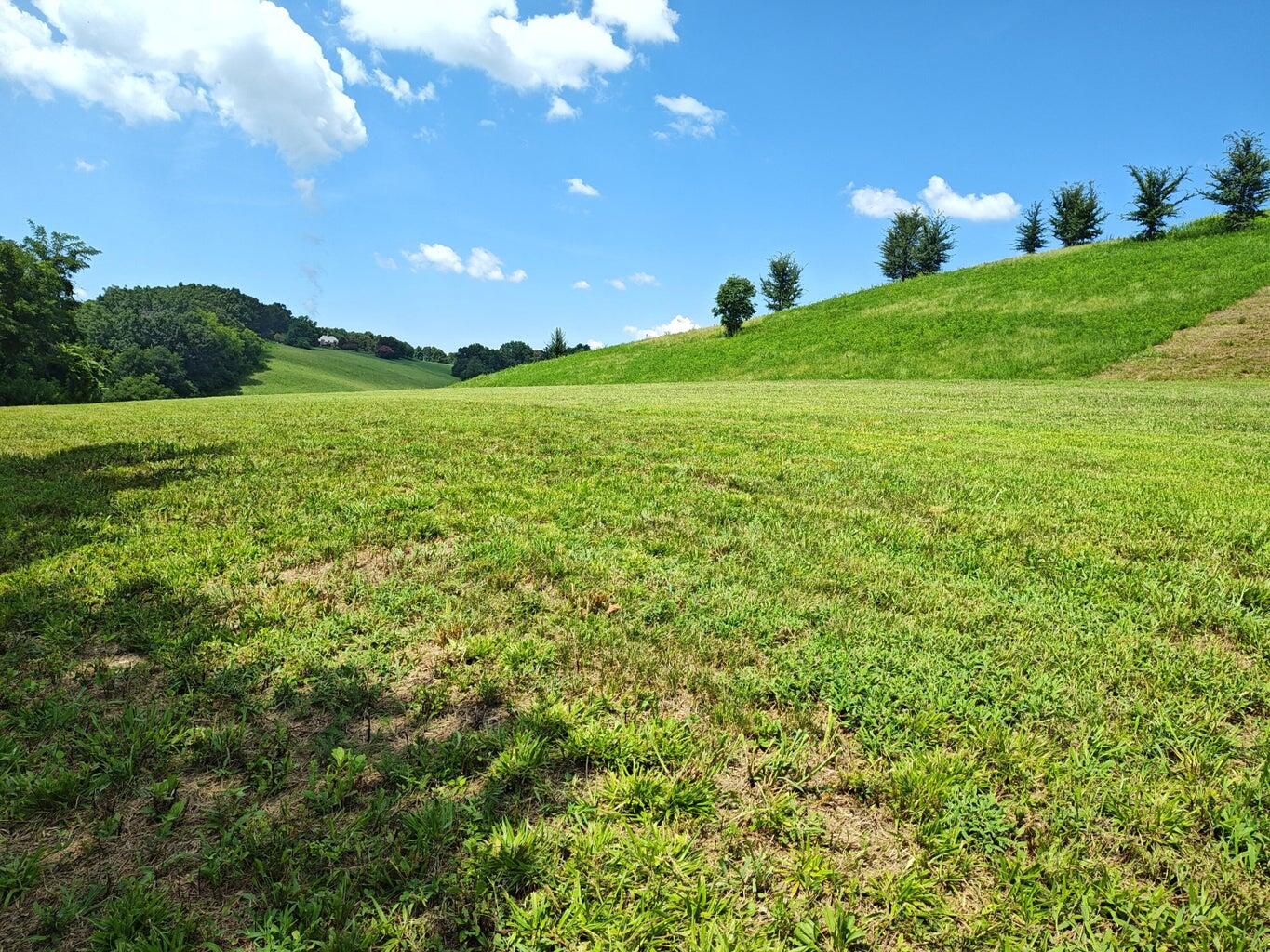 Lot 72 Espalier Drive Decatur, TN 37322 - Photo 10 of 12 11